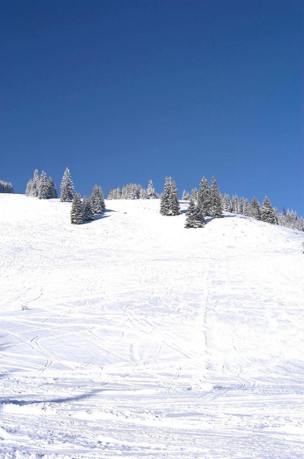 Penzion Vah Liptovská Teplička Exterior foto